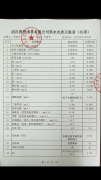 2019年武漢魯控水務有限公司供水水質2019年5月月報表（42項）